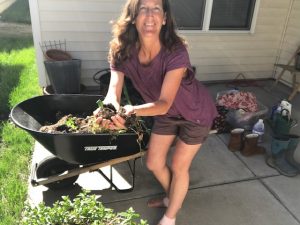 My Little Wheel Barrow Garden